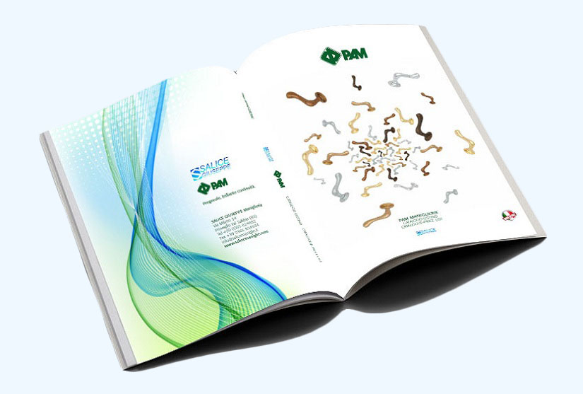 Copertina pam3d copy - copia